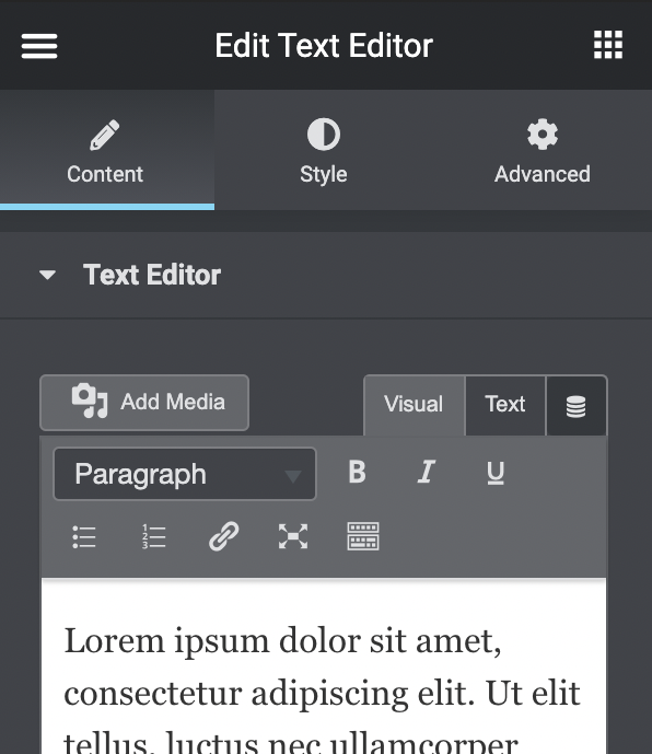 Elementor Text Editor Widget Screenshot